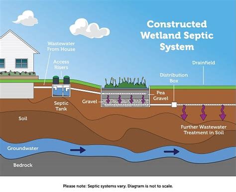 septic tank d box feed line